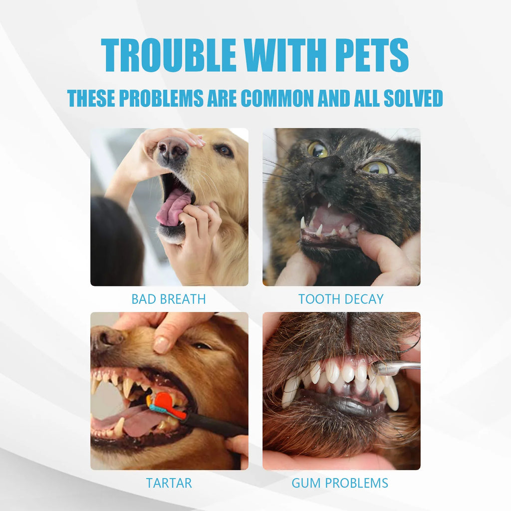 Yegbong Pet Toothpaste – Fresh Breath & Tartar Control for Dogs & Cats