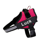 Customizable No-Pull Dog Harness Vest – Reflective & Breathable Outdoor Gear