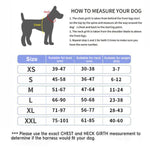No-Pull Reflective Dog Harness – Comfort & Control for Every Walk
