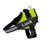 Customizable No-Pull Dog Harness Vest – Reflective & Breathable Outdoor Gear