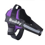 Personalized No-Pull Dog Harness – Reflective, Breathable Vest for Small to Large Dogs