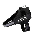 Customizable No-Pull Dog Harness Vest – Reflective & Breathable Outdoor Gear