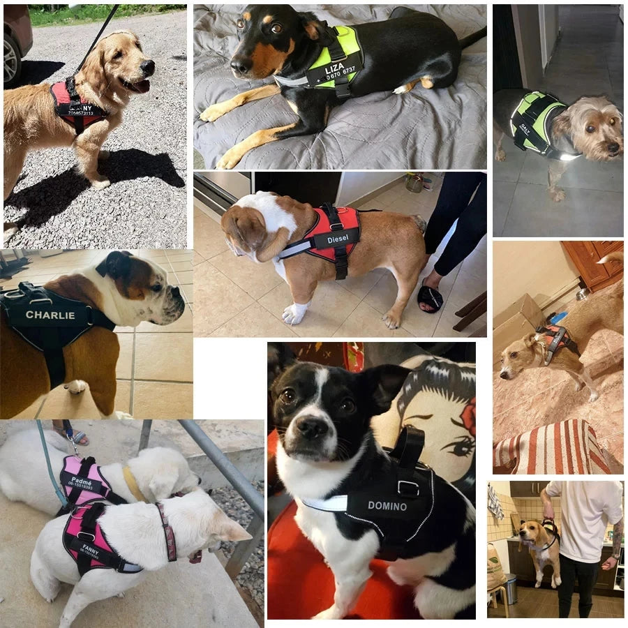 No-Pull Reflective Dog Harness – Adjustable Vest with Custom ID Patch