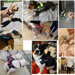No-Pull Reflective Dog Harness – Adjustable Vest with Custom ID Patch