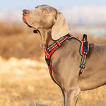 Truelove Pet Harness – Nylon Webbing with 3M Reflection & Adjustable Aluminum Alloy TLH56512