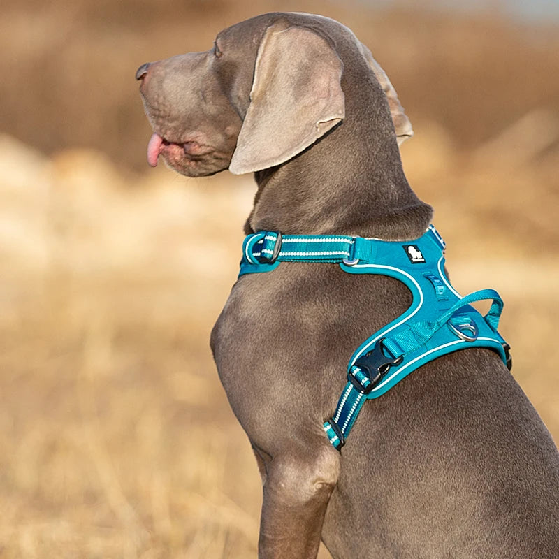 Truelove Pet Harness – Nylon Webbing with 3M Reflection & Adjustable Aluminum Alloy TLH56512