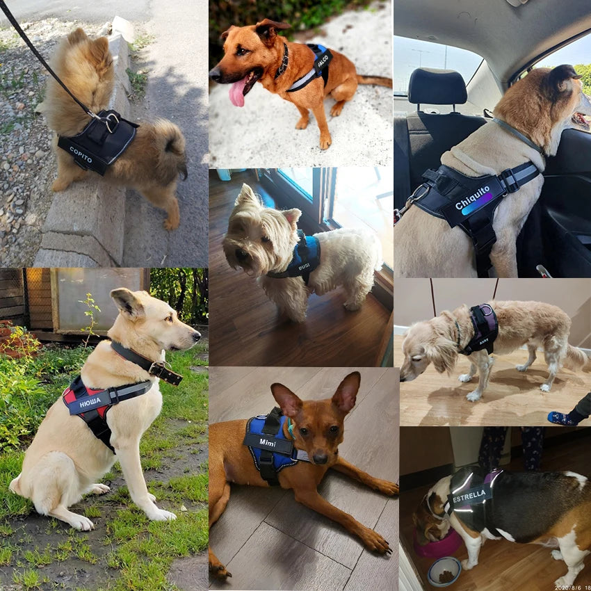No-Pull Reflective Dog Harness – Comfort & Control for Every Walk