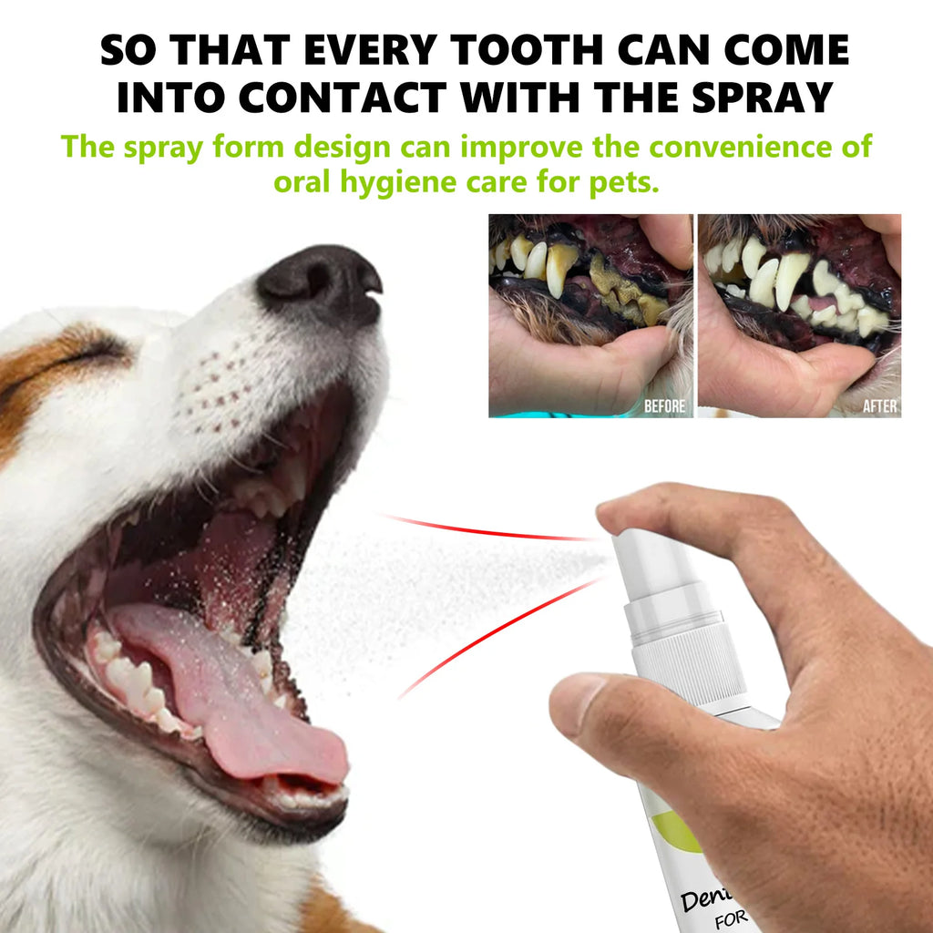 Mint Fresh Breath Spray – Oral Care & Odor Removal for Cats & Dogs