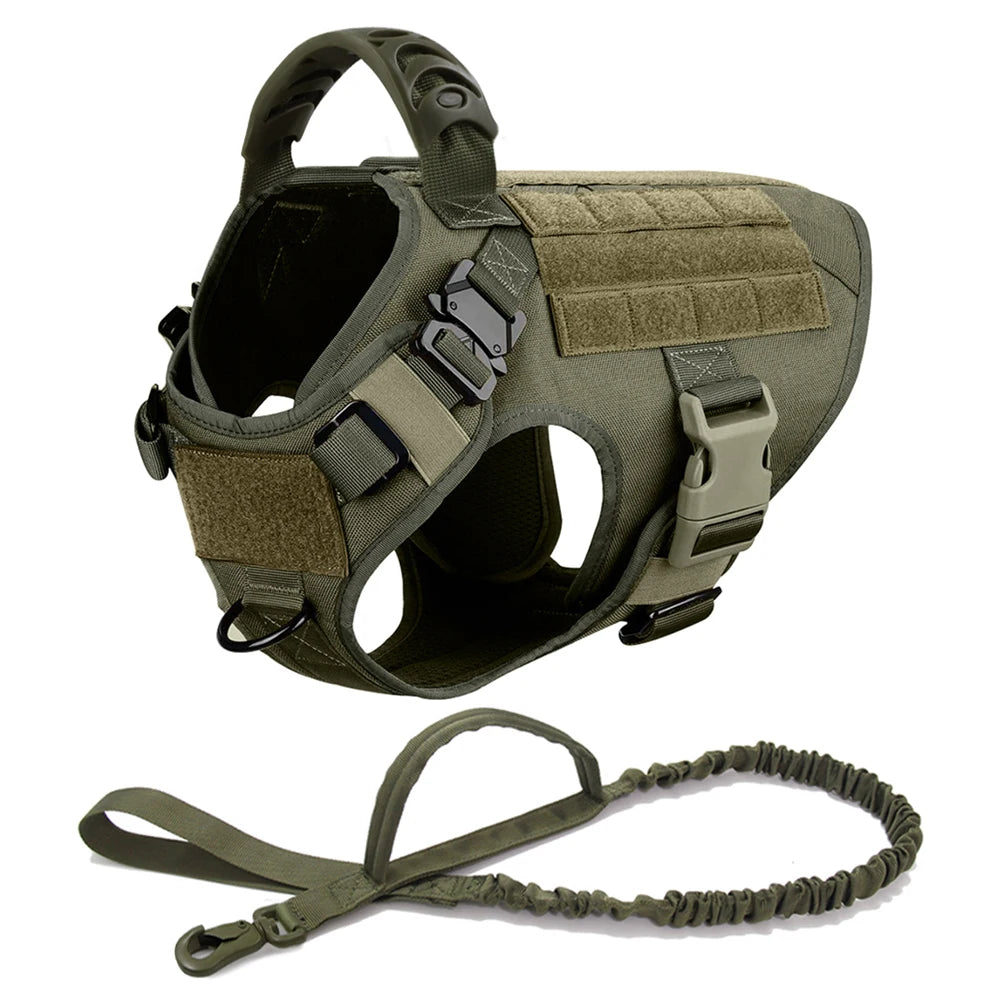 Large Dog Harness & Leash Set – Training & Walking Vest with Collar