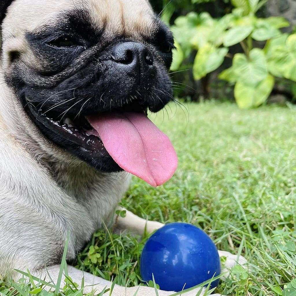SuperChewy Tough Dog Ball Toy – Strong Natural Rubber Fetch & Chew Toy for Large Dogs