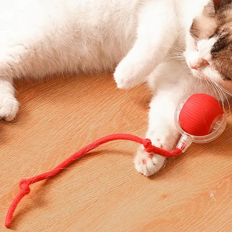 Electric Cat Ball Toy with Faux Tail – Smart Rechargeable Interactive Fun