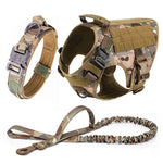 Large Dog Harness & Leash Set – Training & Walking Vest with Collar