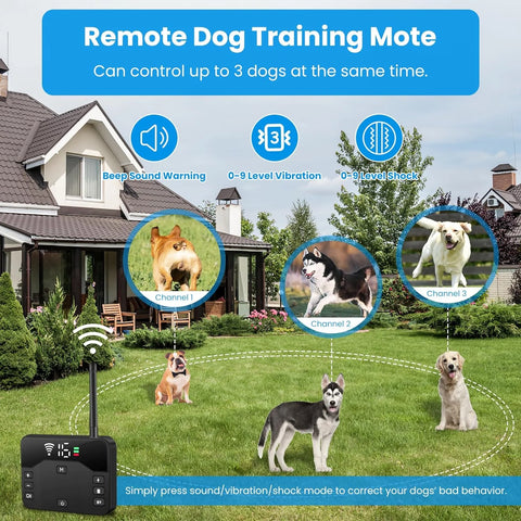 Wireless 2-Dog Fence & Training Collar – Safe Freedom, Smart Control