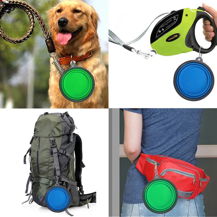 Collapsible Silicone Pet Bowl – Lightweight, Portable, and Travel-Ready Feeding & Water Dish