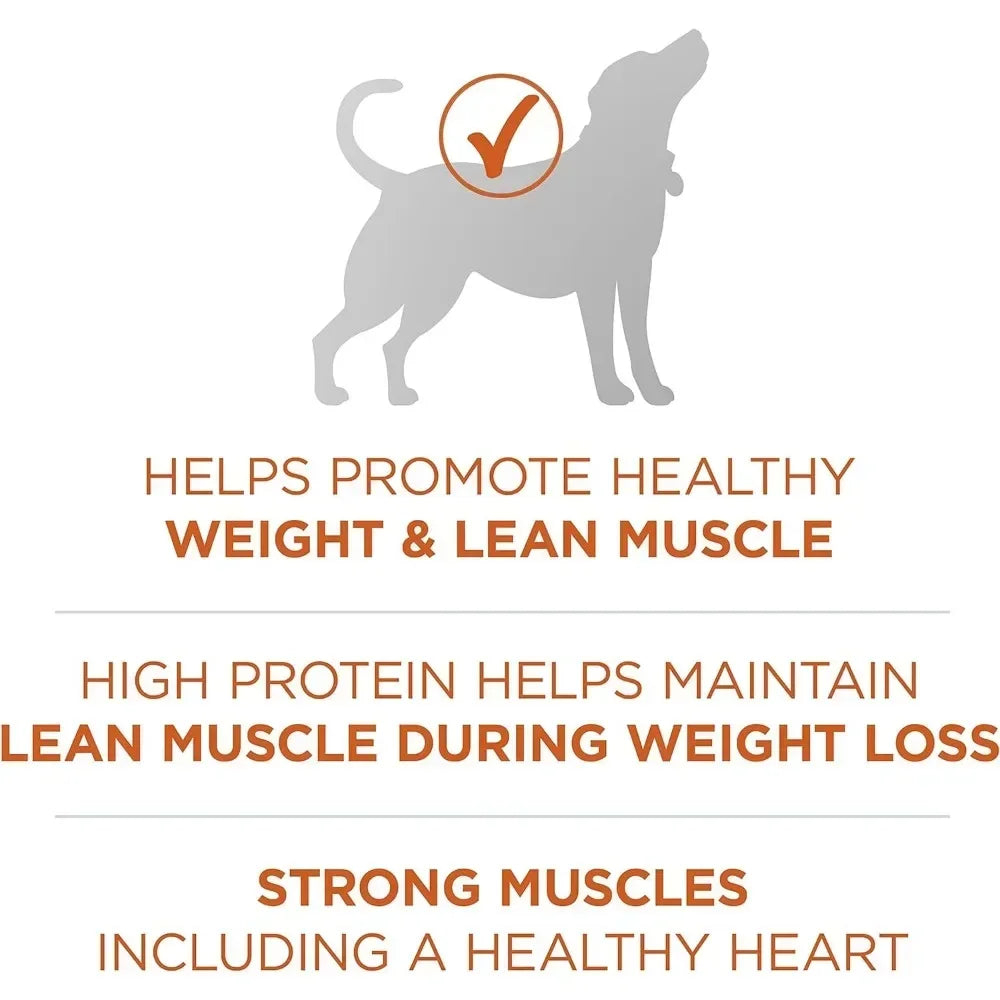 Plus Healthy Weight High-Protein Dry Dog Food – 40 lb. Bag