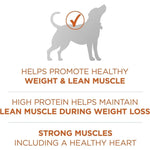 Plus Healthy Weight High-Protein Dry Dog Food – 40 lb. Bag