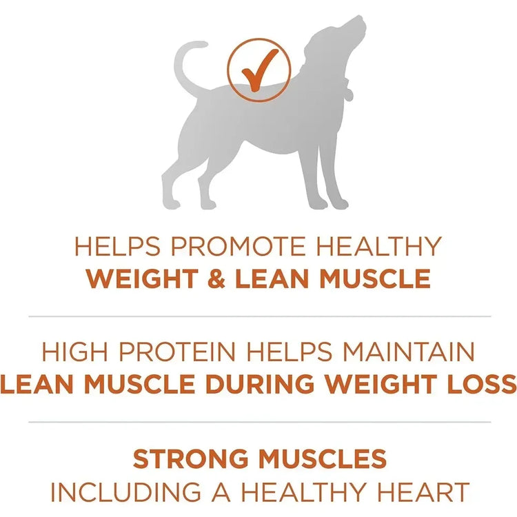 Plus Healthy Weight High-Protein Dry Dog Food – 40 lb. Bag