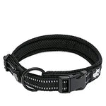 Truelove Nylon Dog Collar – Soft Padded, Reflective, Adjustable & Durable for Training and Everyday Use