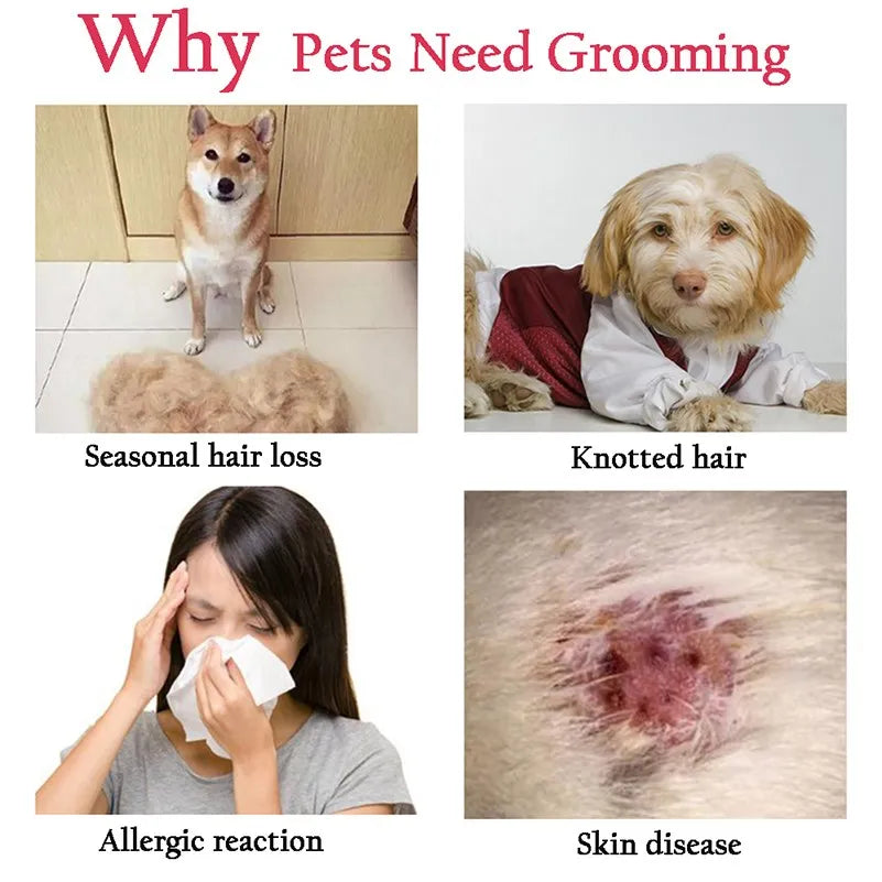 Dog Brush Pet Hair Remover – Professional Shedding & Grooming Tool for Dogs & Cats