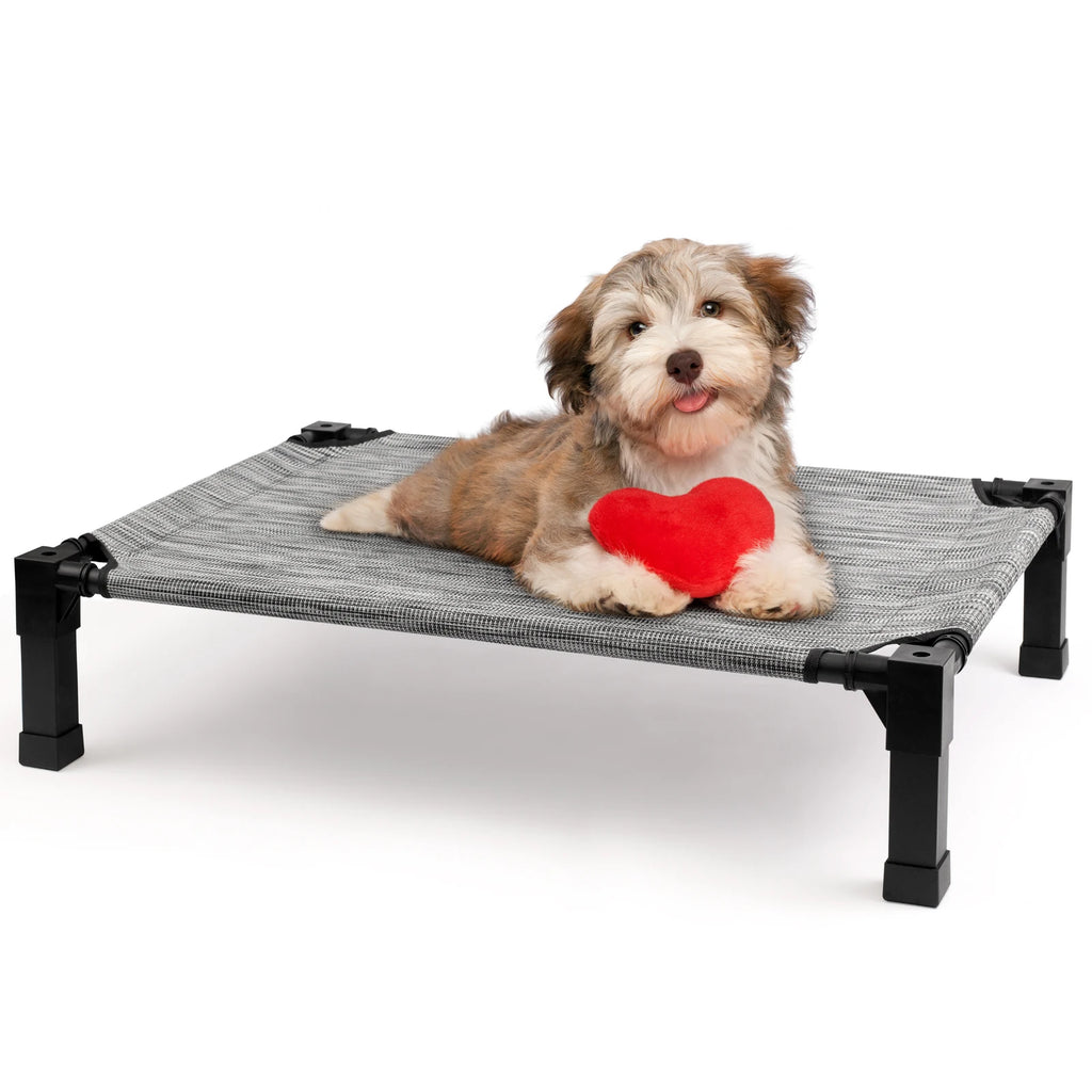 Elevated Dog Bed – Cooling Raised Pet Cot with Chew-Proof Mesh & Metal Frame