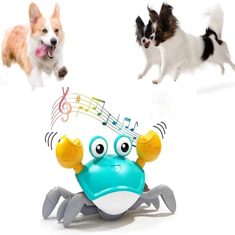 Engaging Interactive Dancing Crab Toy – Musical Fun for Dogs & Cats