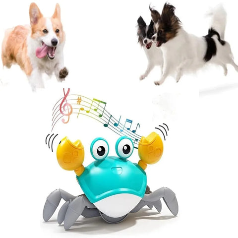 Engaging Interactive Dancing Crab Toy – Musical Fun for Dogs & Cats