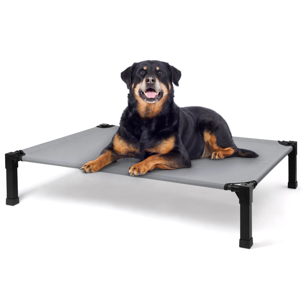 Elevated Dog Bed – Cooling Raised Pet Cot with Chew-Proof Mesh & Metal Frame
