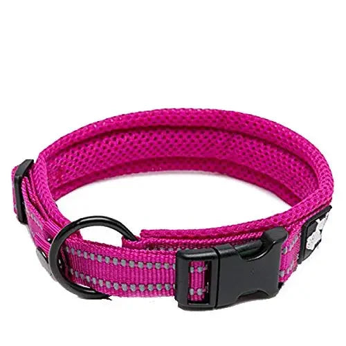 Truelove Nylon Dog Collar – Soft Padded, Reflective, Adjustable & Durable for Training and Everyday Use