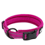 Truelove Nylon Dog Collar – Soft Padded, Reflective, Adjustable & Durable for Training and Everyday Use