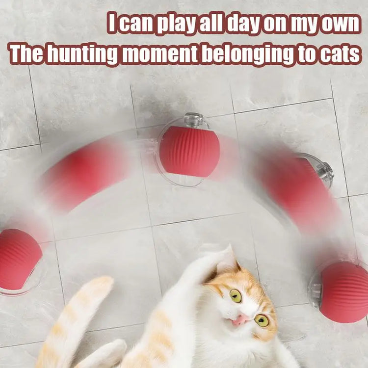 Electric Cat Ball Toy with Faux Tail – Smart Rechargeable Interactive Fun