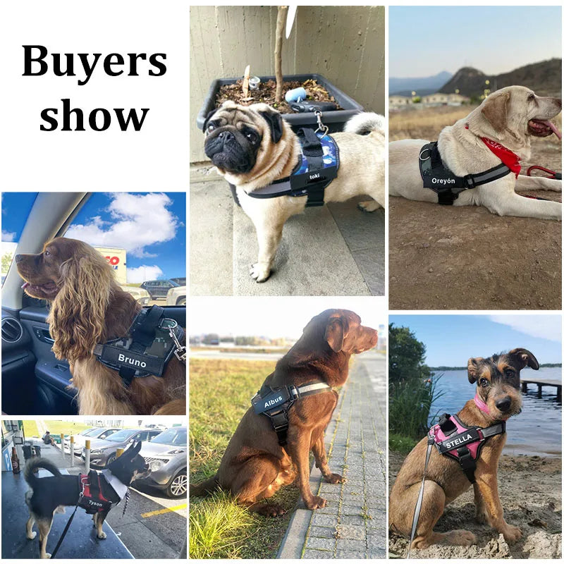 Personalized No-Pull Dog Harness – Reflective, Breathable Vest for Small to Large Dogs