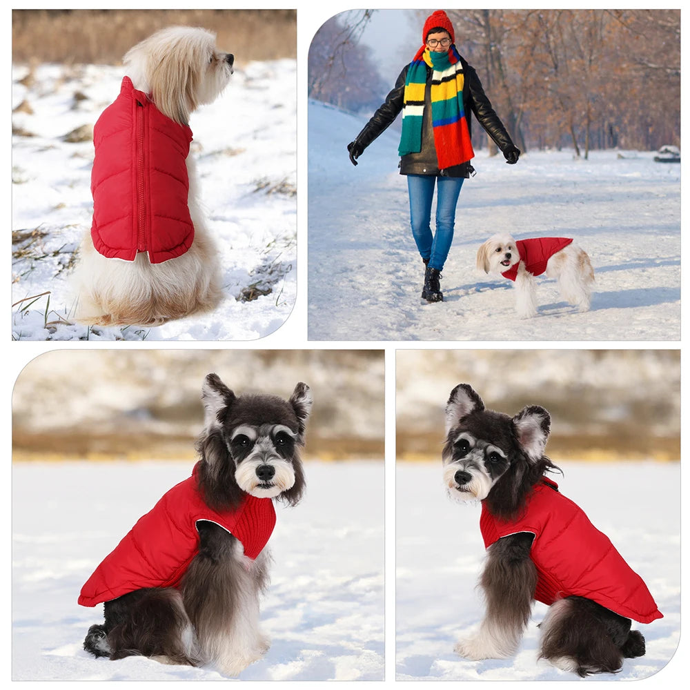 Pet Knitted Leisure Dog Clothes – Autumn/Winter Warm Vest Jacket for Small & Medium Dogs