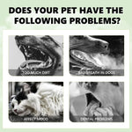 Mint Fresh Breath Spray – Oral Care & Odor Removal for Cats & Dogs