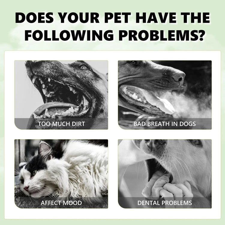 Mint Fresh Breath Spray – Oral Care & Odor Removal for Cats & Dogs