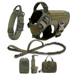 Large Dog Harness & Leash Set – Training & Walking Vest with Collar