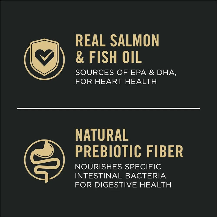 Sensitive Skin & Stomach Dry Dog Food – Adult Salmon & Rice Formula