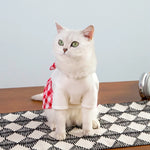 Spring/Summer Pet Skirt Dress – Plaid Princess Outfit with Cute Bowknot