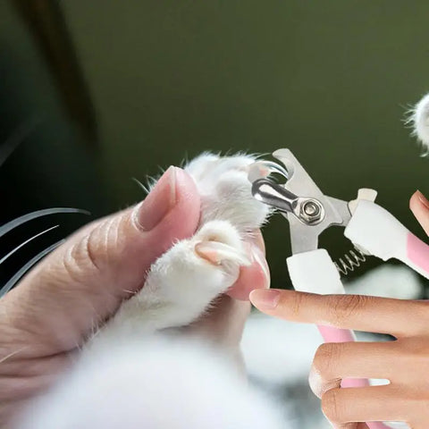Professional Pet Nail Clippers & Trimmer – Safe and Portable Grooming for Puppies, Cats & Birds