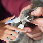Professional Pet Nail Clippers & Trimmer – Safe and Portable Grooming for Puppies, Cats & Birds