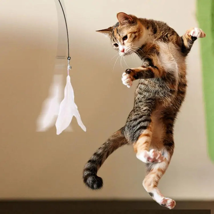 Cat Wand Toy with Detachable Feather & Suction Cup – Fun Exercise & Interactive Play