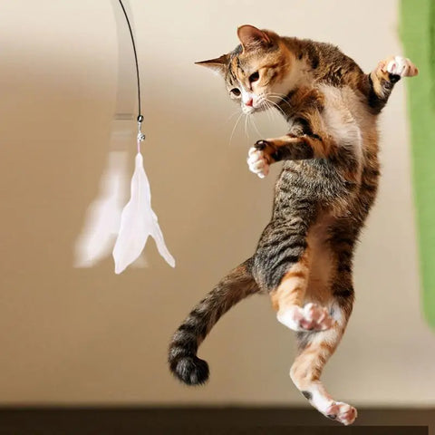 Cat Wand Toy with Detachable Feather & Suction Cup – Fun Exercise & Interactive Play
