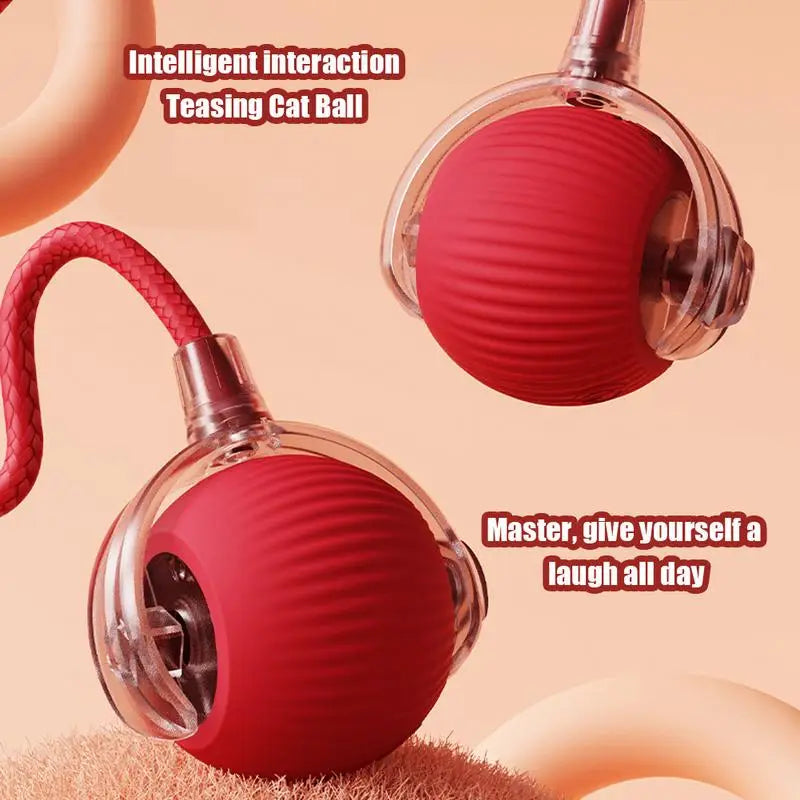 Electric Cat Ball Toy with Faux Tail – Smart Rechargeable Interactive Fun