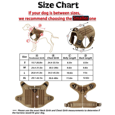 Large Dog Harness & Leash Set – Training & Walking Vest with Collar