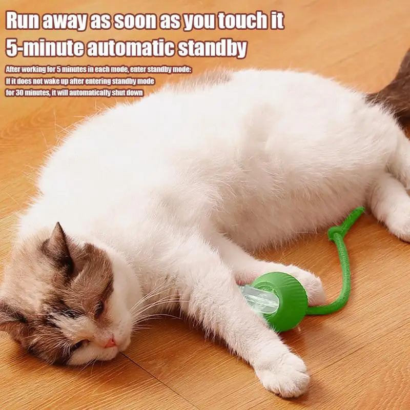 Electric Cat Ball Toy with Faux Tail – Smart Rechargeable Interactive Fun