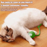 Electric Cat Ball Toy with Faux Tail – Smart Rechargeable Interactive Fun