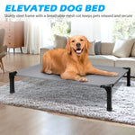 Elevated Dog Bed – Cooling Raised Pet Cot with Chew-Proof Mesh & Metal Frame