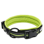 Truelove Nylon Dog Collar – Soft Padded, Reflective, Adjustable & Durable for Training and Everyday Use