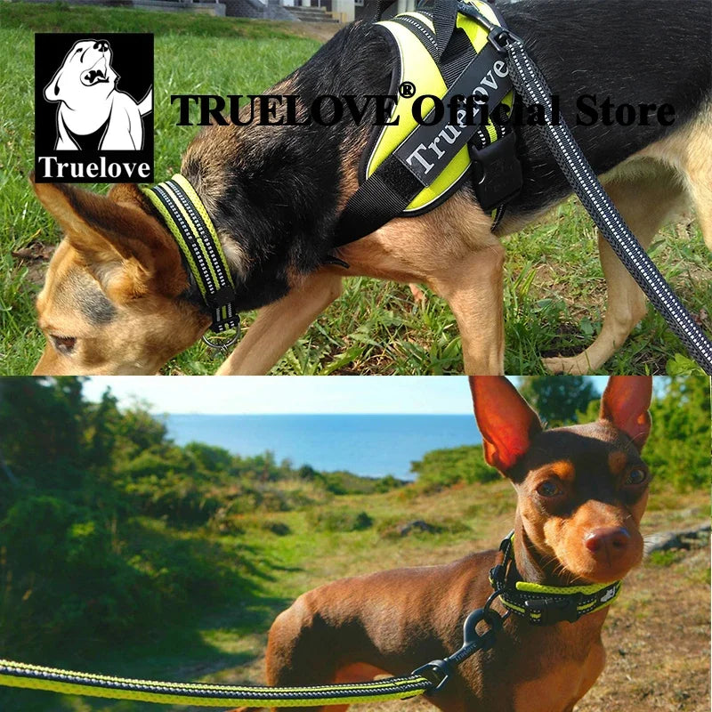 Truelove Nylon Dog Collar – Soft Padded, Reflective, Adjustable & Durable for Training and Everyday Use