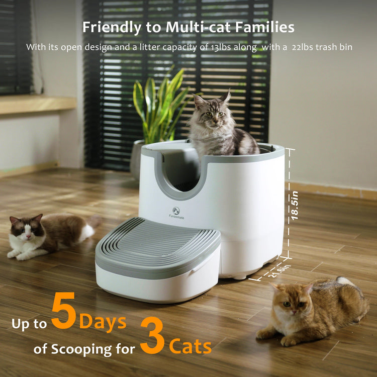 Self-Cleaning Cat Litter Box – Open-Top, Extra Large, with Advanced Safety Sensors for Multi-Cat Households