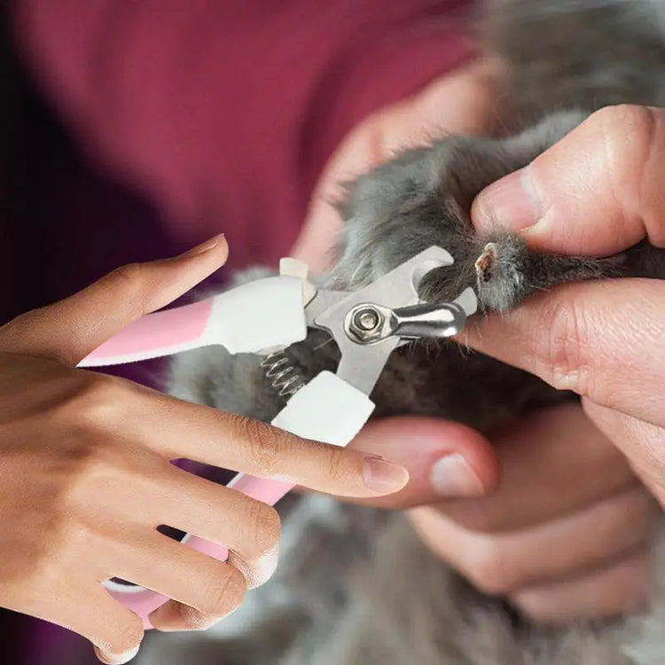 Professional Pet Nail Clippers & Trimmer – Safe and Portable Grooming for Puppies, Cats & Birds